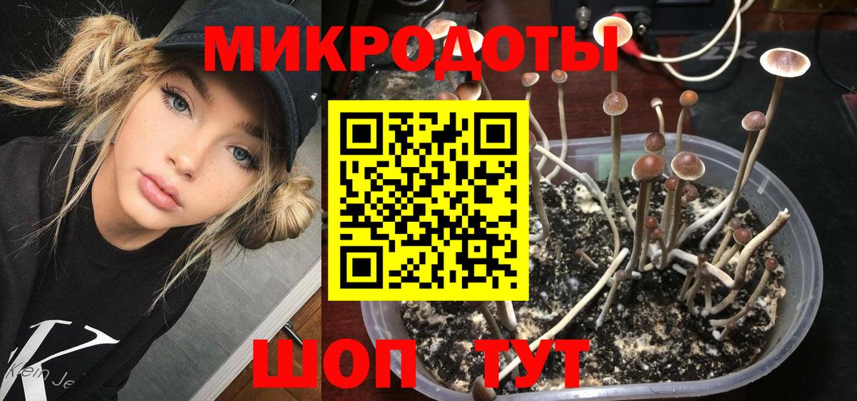 Галлюциногенные грибы MAGIC MUSHROOMS Орехово-Зуево